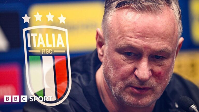 Italy v Northern Ireland: World Cup play-off preview Northern Ireland manager Michael O'Neill