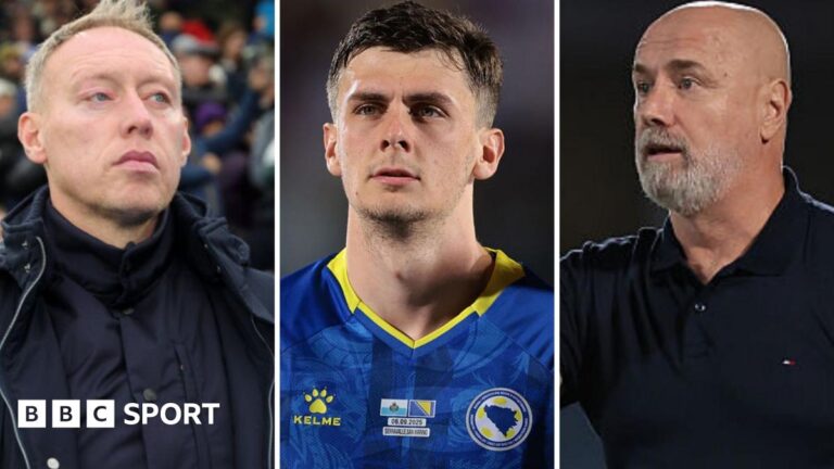 Steve Cooper: Brondby manager accused of dropping Bosnia-Herzegovina player before Wales’ match L-R: Steve Cooper, Benjamin Tahirovic and Sergej Barbarez