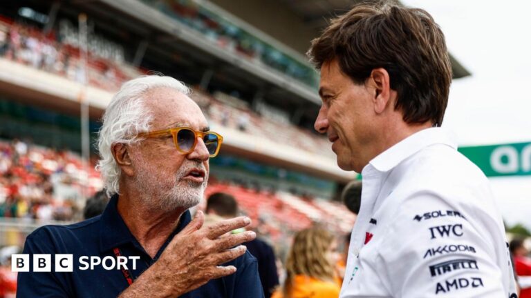 Mercedes pull out of talks to buy Alpine share over price Alpine executive adviser Flavio Briatore (left) and Mercedes F1 boss Toto Wolff