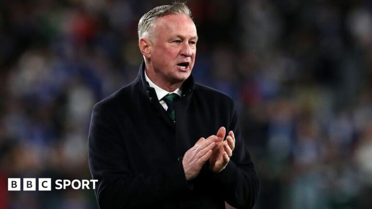 Guinea v Northern Ireland: NI manager O’Neill reports clean bill of health for friendly matches Northern Ireland manager Michael O'Neill