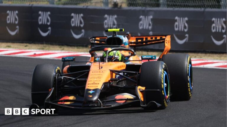 Hungarian Grand Prix result: Lando Norris wins from Max Verstappen with Kimi Antonelli third Anti-doping test kit