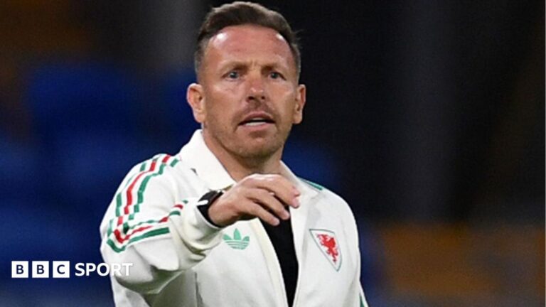 Craig Bellamy gestures to his players on the touchline